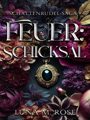 cover image of Feuer
